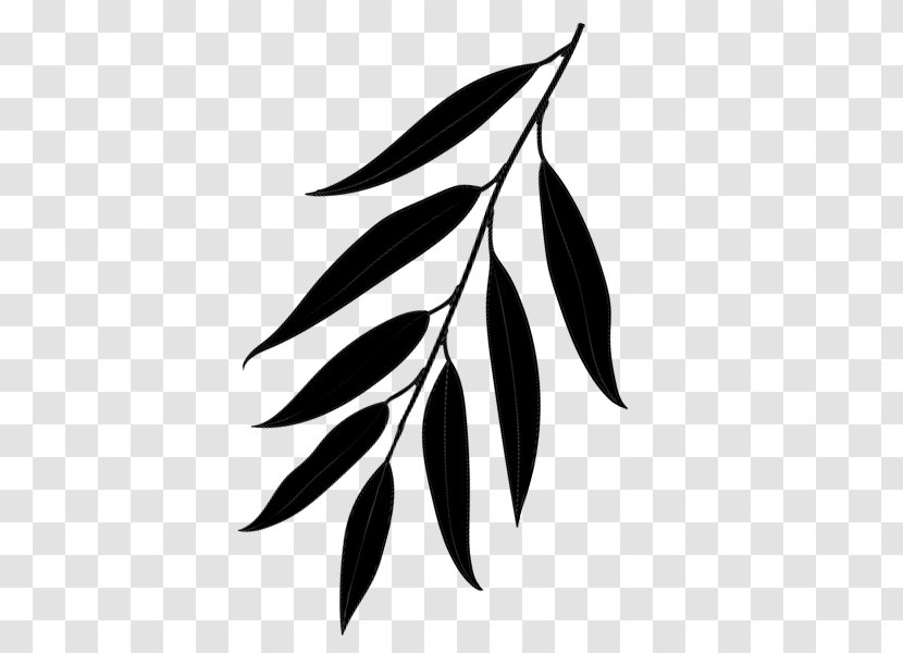 Black & White - Blackandwhite - M Leaf Flower Plant Stem Font Transparent PNG