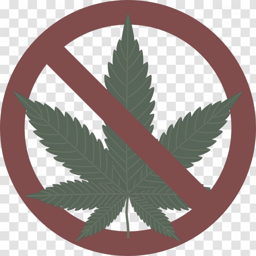 Cannabis Leaf Background - Plant - Flowering Plane Transparent PNG