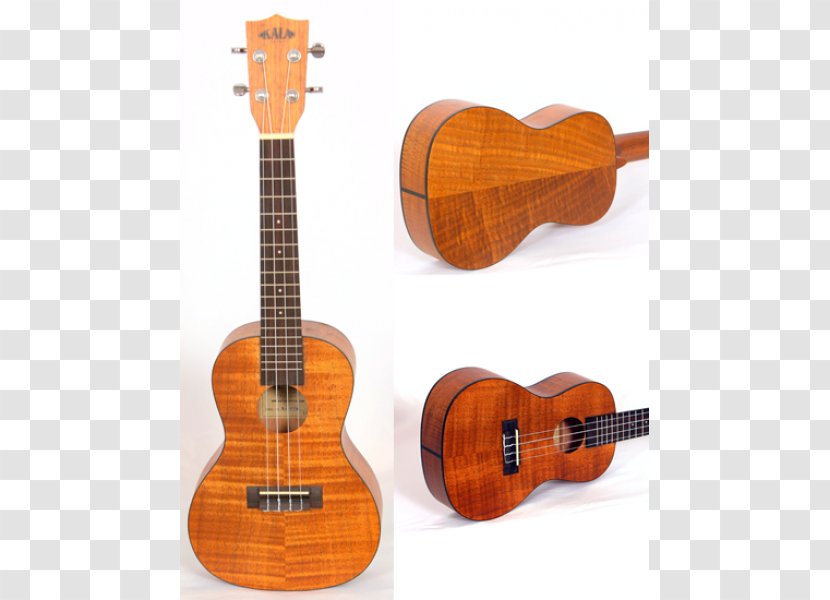Ukulele Acoustic Guitar Cuatro Tiple Cavaquinho - Tree Transparent PNG