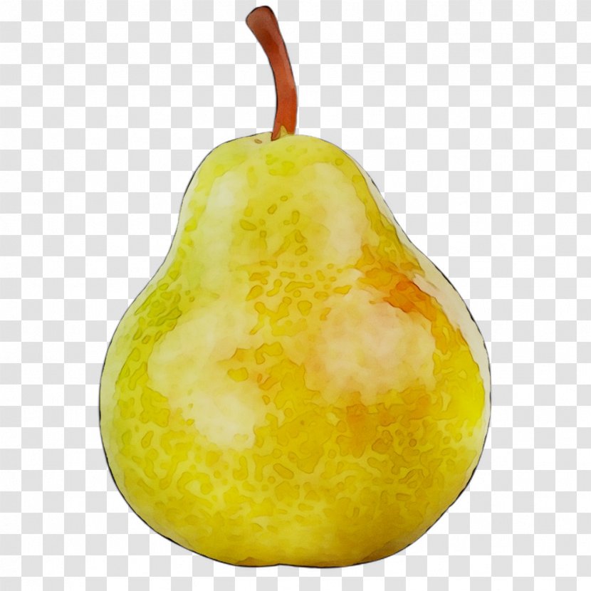 Pear Accessory Fruit Fahrenheit - Natural Foods Transparent PNG