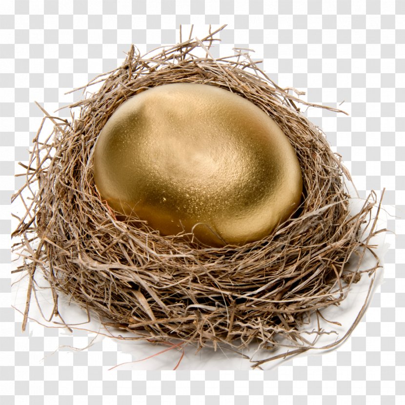 Chicken Easter Egg Nest Stock Photography - Bird - Golden Transparent PNG