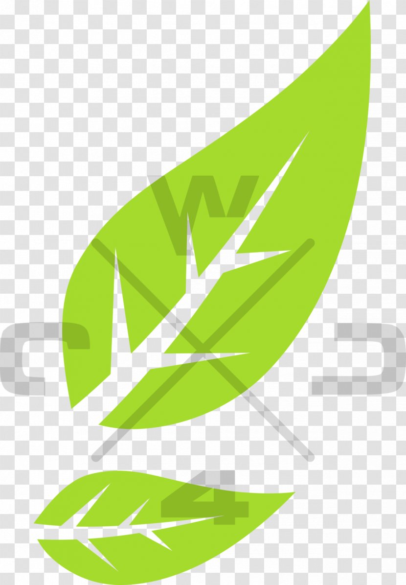 Leaf Green Clip Art - Eco Transparent PNG