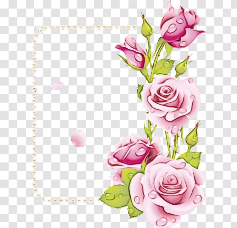 Garden Roses - Petal - Cut Flowers Floral Design Transparent PNG