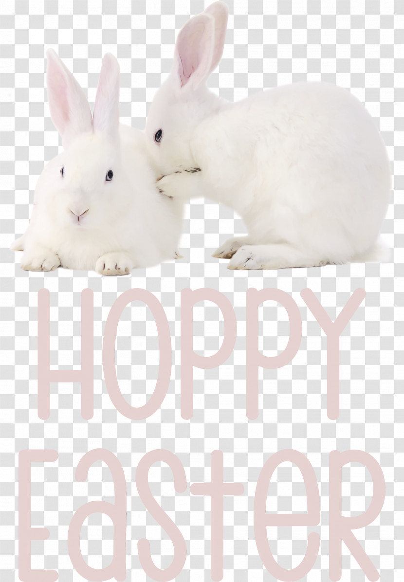 Easter Bunny Transparent PNG