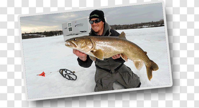 Ice Fishing Fly Walleye House - Salmon - Castle Transparent PNG