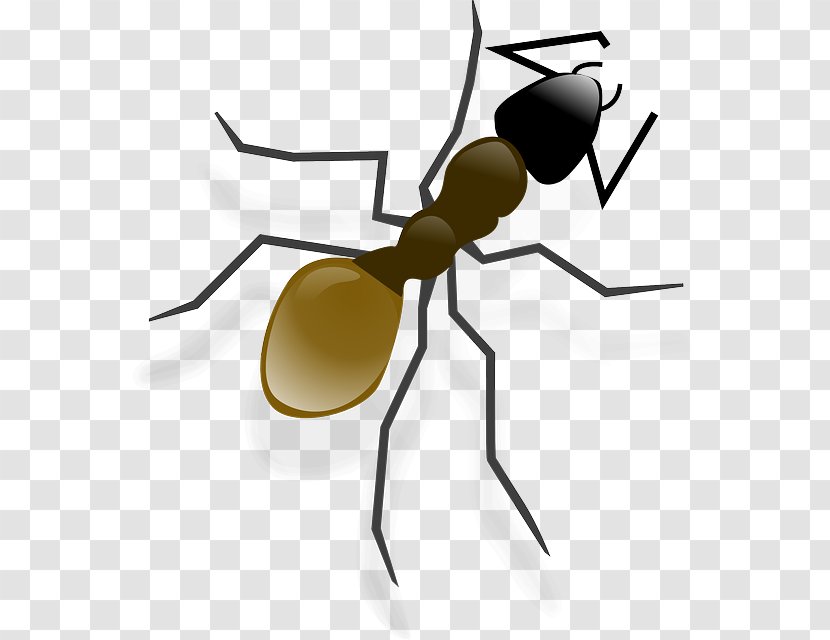 Ant Clip Art - Leafcutter - Insect Transparent PNG