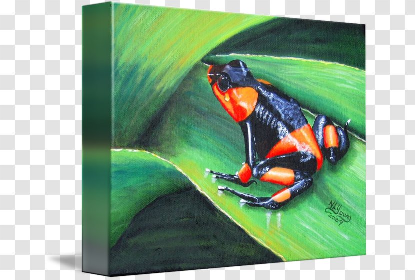 Painting Lehmann's Poison Frog Tree Oil Paint - Art Transparent PNG