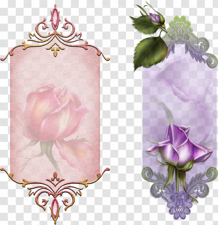 Garden Roses Paper Scrapbooking Picture Frames - Floral Design - Many-storied Transparent PNG