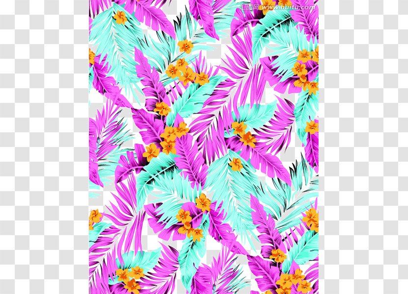 Hawaii Flower Floral Design - Aster Transparent PNG