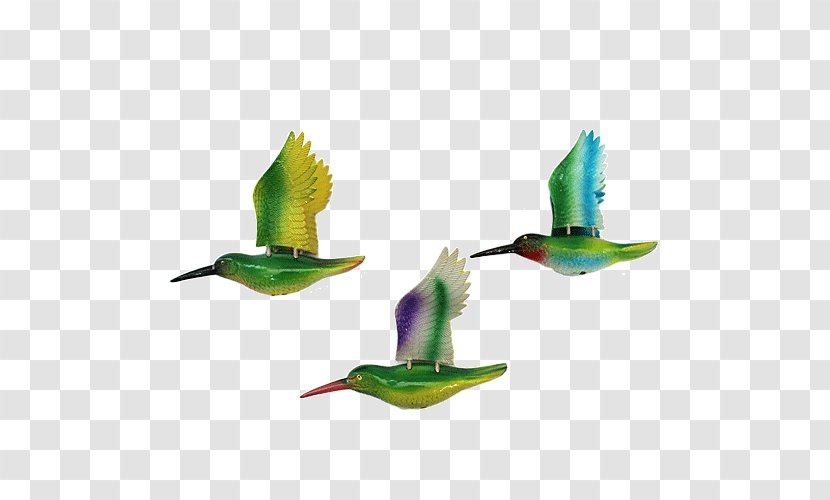 Fauna Hummingbird M Beak Feather Transparent PNG