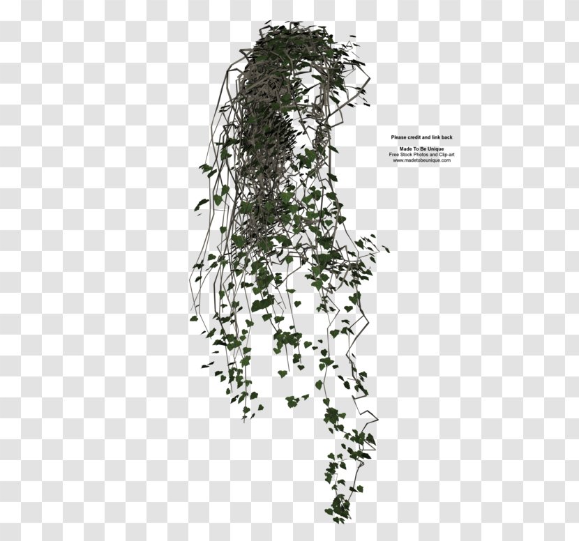 Vine Ivy Texture Mapping Clip Art - Drawing - Flower Wall Transparent PNG