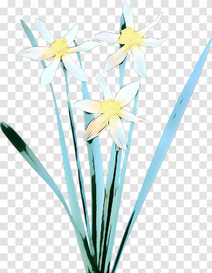 Flower Narcissus Plant Cut Flowers Flowering - Pop Art - Stem Pedicel Transparent PNG