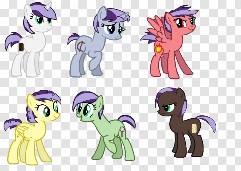 Horse Cat Pony Mammal Animal - Hold The Magnifying Glass Transparent PNG