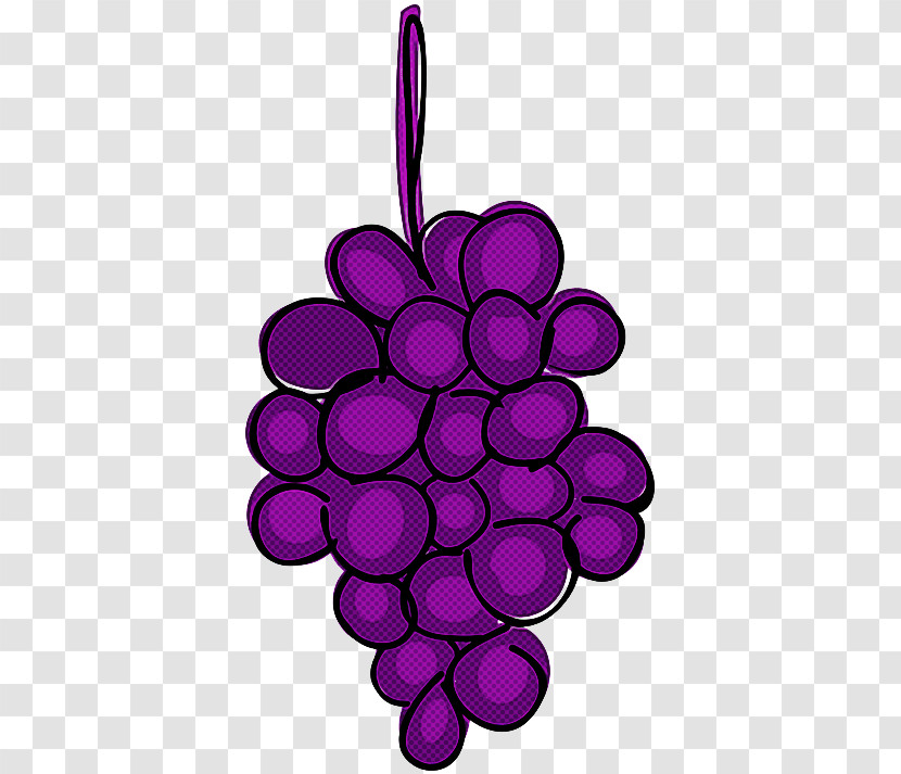 Grape Violet Purple Grapevine Family Vitis Transparent PNG