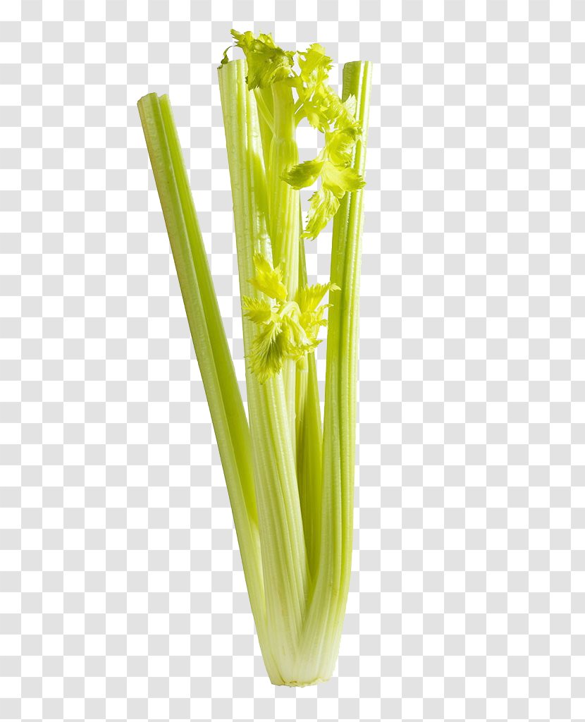 Celery Vegetable - Google Images - Free Image Pull Transparent PNG