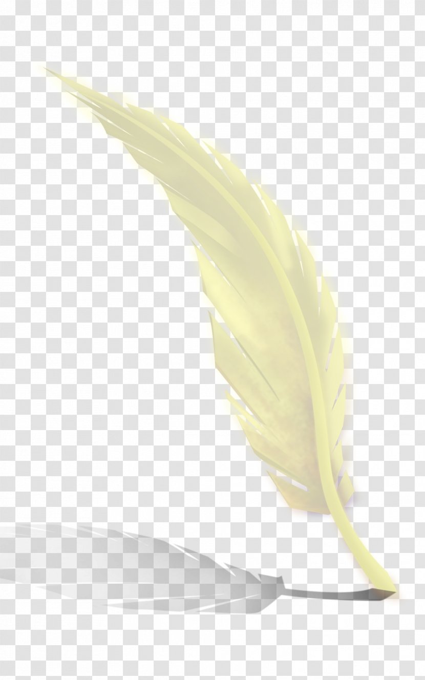 Yellow Feather Material - Leaf - White Feathers Transparent PNG