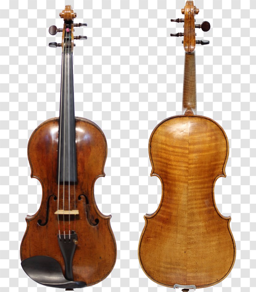 Violin Viola Musical Instruments String Cello - Flower - Rare Transparent PNG