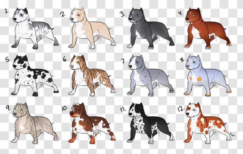 Dog Breed Cat Tail - Animal - American Bully Transparent PNG