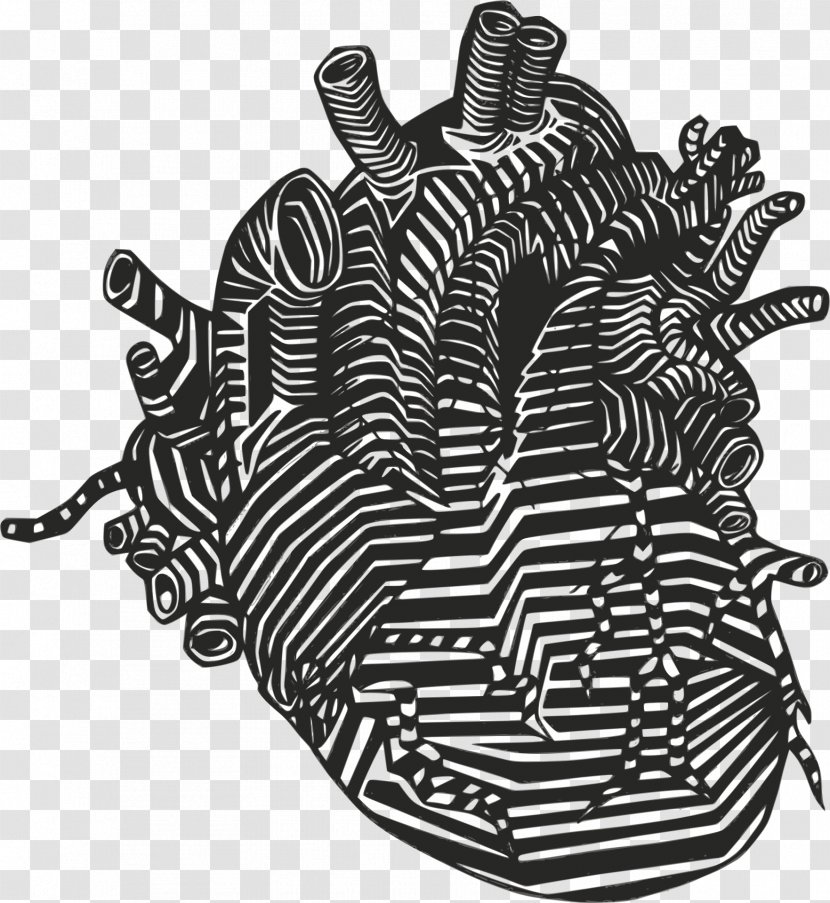 Heart Anatomy Drawing Clip Art - Gothic Fiction Transparent PNG