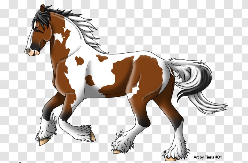 Mane Foal Mustang Stallion Colt - Horse Supplies Transparent PNG