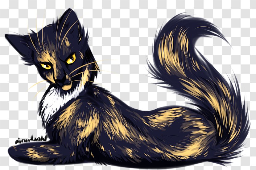 Whiskers Kitten Black Cat Warriors - Digital Art - Niaopen Transparent PNG