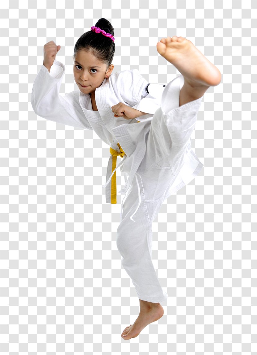Karate Stock Photography Martial Arts Kick Taekwondo - Tree Transparent PNG