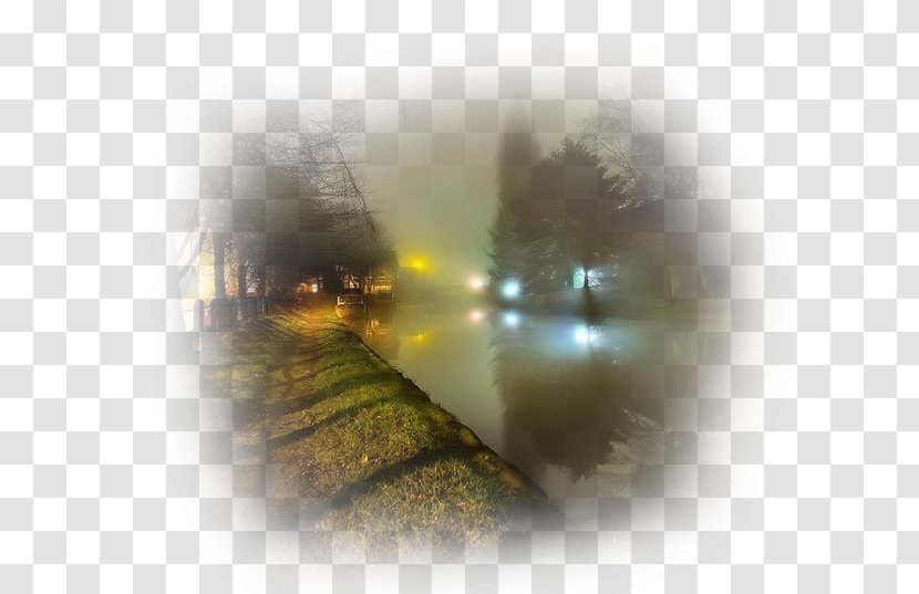 Desktop Wallpaper Fog Sunlight Mist Eye - Close Up Transparent PNG