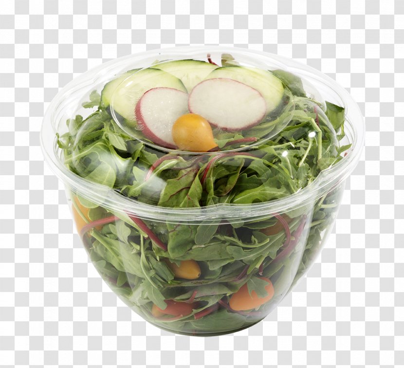 Tableware Bowl Plastic Polylactic Acid Leaf Vegetable - Biodegradation - Salad-bowl Transparent PNG