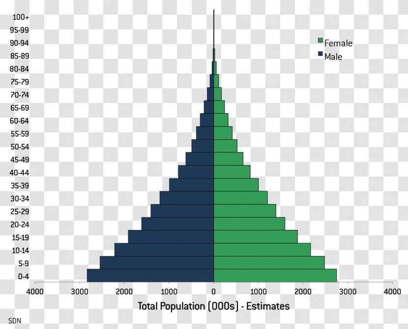 Population Pyramid South Sudan Rate Literacy - Economics - Full Year Transparent PNG