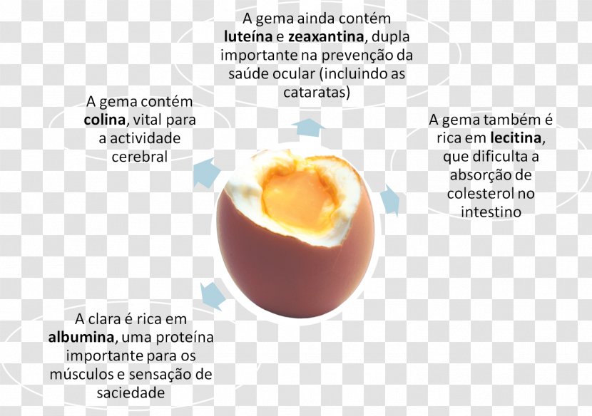Cholesterol Nutrient Egg Lecithin Health - Vitamin Transparent PNG