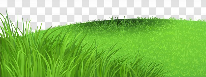 Image File Formats Lossless Compression Raster Graphics - Grassland - Grass Deco Clipart Picture Transparent PNG