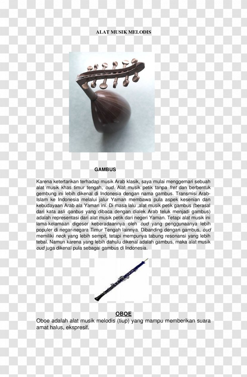 Indonesia Musical Instruments - Frame Transparent PNG