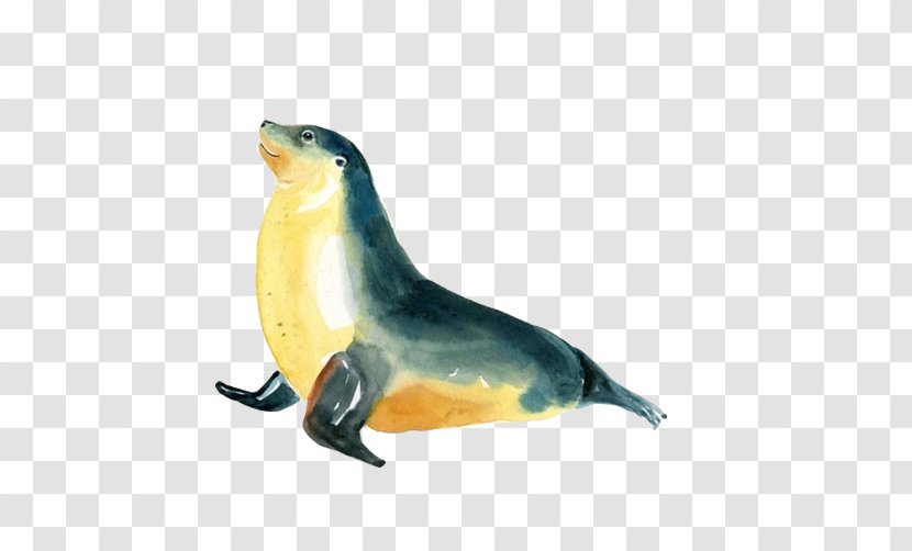 Sea Lion Earless Seal Creative Watercolor Painting - Seals Sell Meng Painted Image Transparent PNG