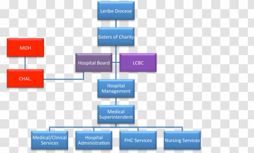 Organizational Structure Hospital Board Of Directors Health Administration - Financial Advisor Transparent PNG