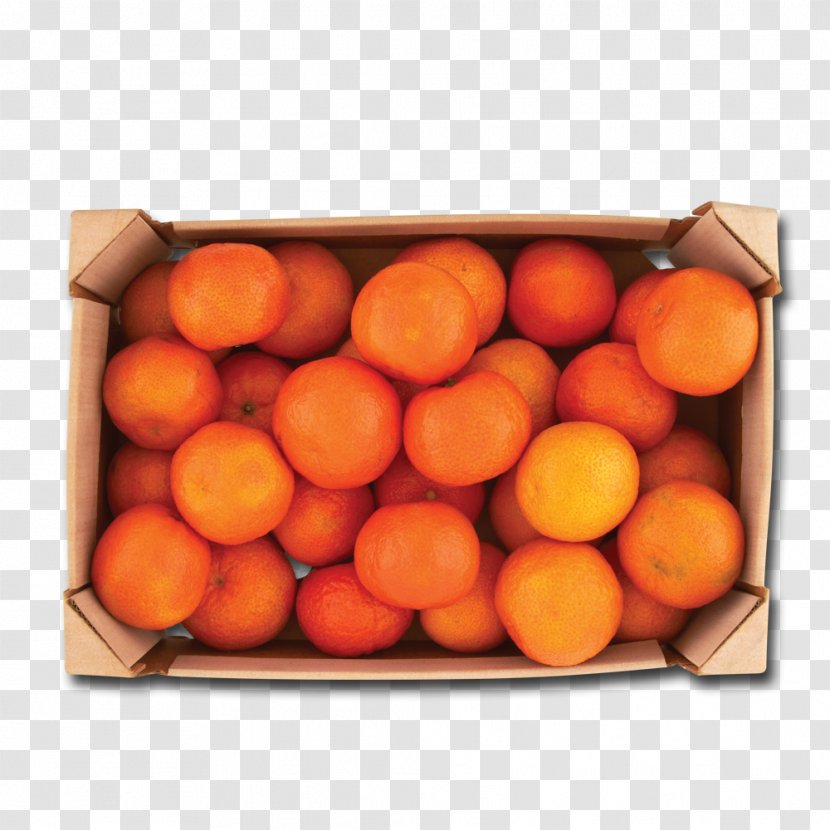 Tangerine Vegetarian Cuisine Mandarin Orange Food Clementine - Fresh Material Transparent PNG