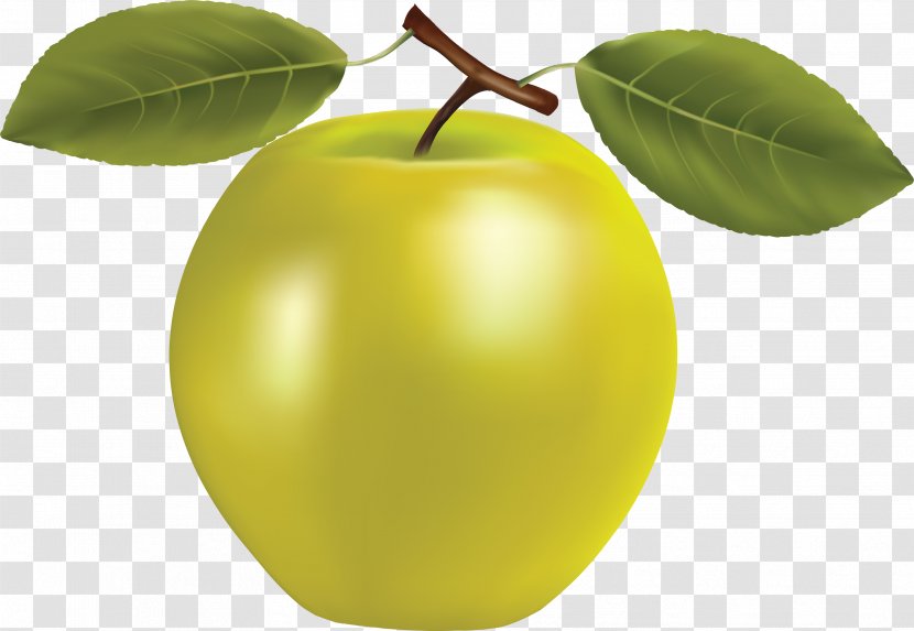 Apple Granny Smith Fruit Icon - Apples Transparent PNG