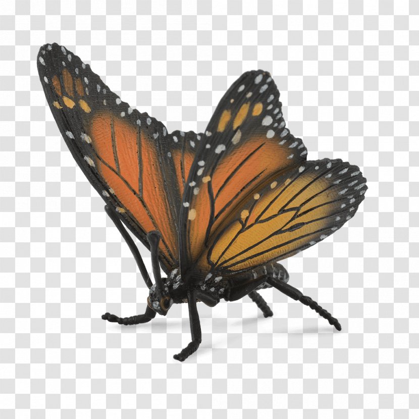 Monarch Butterfly Butterflies & Insects Toy - Invertebrate Transparent PNG