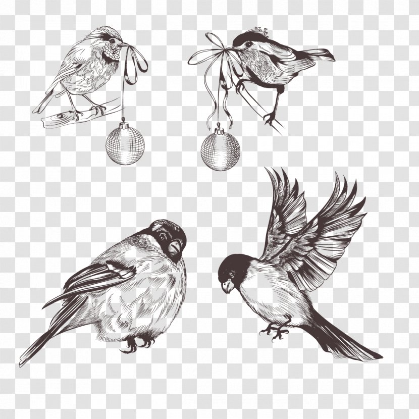 Bird Sparrow Euclidean Vector Feather - Eurasian Tree - Little Transparent PNG