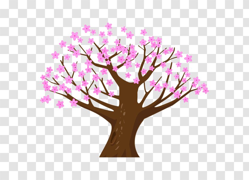 Cherry Blossom Illustration Tree Clip Art Branch - Floral Design Transparent PNG