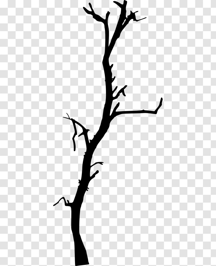 Twig Tree Clip Art - Plant Stem - Dead Material Transparent PNG