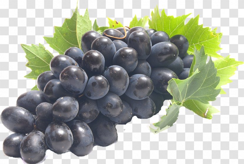 Common Grape Vine Wine Juice Fruit - Sultana Transparent PNG