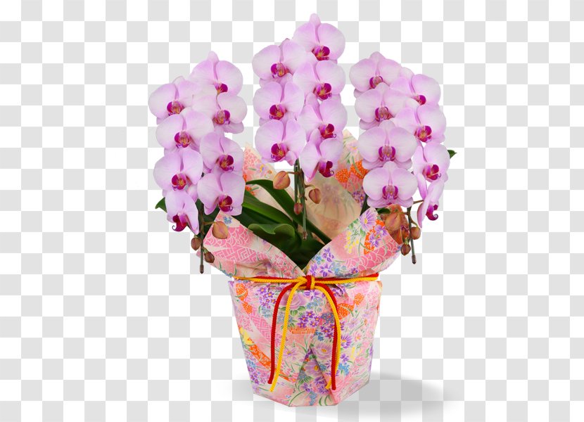 Phalaenopsis Aphrodite Cut Flowers Floral Design Flower Bouquet Transparent PNG