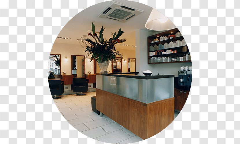 Tonic Therapies Beauty Parlour Hairdresser Earlsdon - Furniture - David Morrissey Transparent PNG