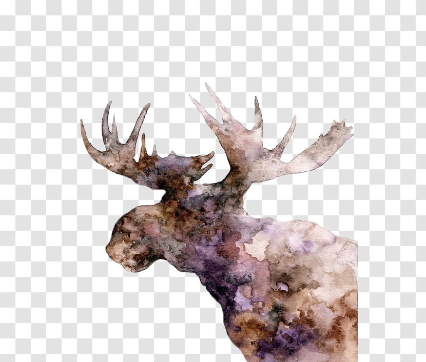 Moose Deer Elk Watercolor Painting - Printmaking - Drawing Decorative Transparent PNG