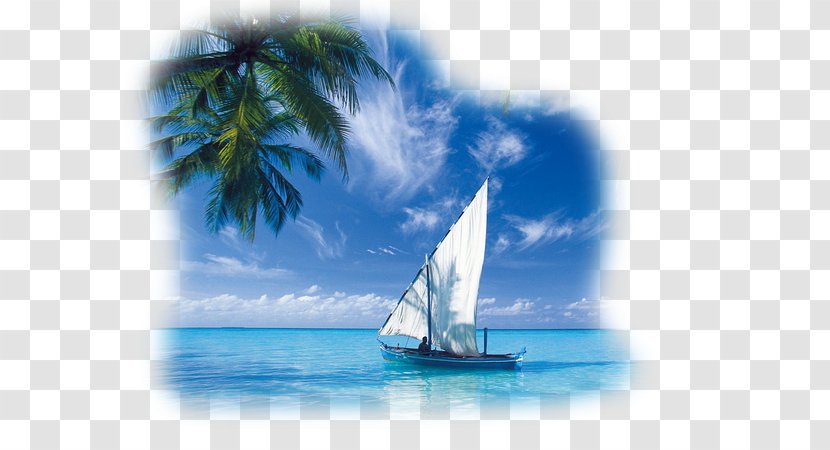 Desktop Wallpaper 1080p High-definition Television Nature Image - Sail - Sailboat Transparent PNG