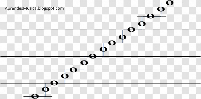 Musical Note Staff Scale - Tree Transparent PNG