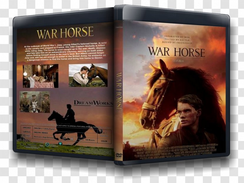 Horse First World War Film Criticism - Jeremy Irvine Transparent PNG