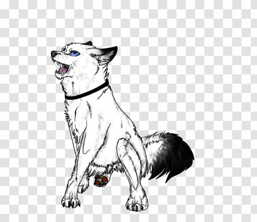 Whiskers Dog Breed Cat Red Fox - Paw Transparent PNG