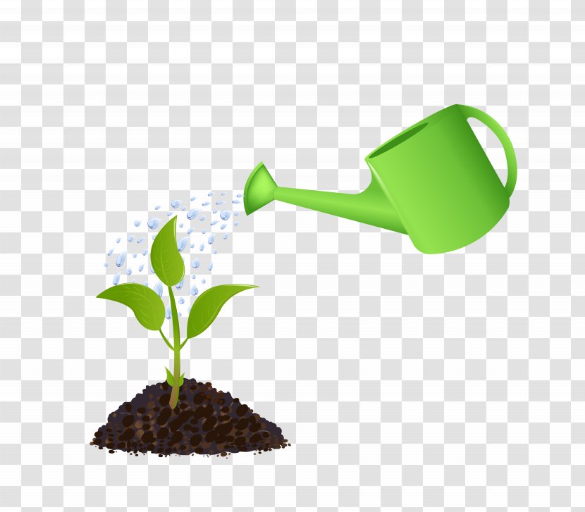 Watering Can Plant Royalty-free Clip Art - Green - Grass Transparent PNG