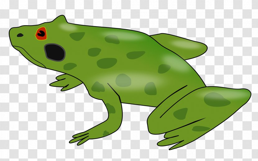 Edible Frog Amphibian Clip Art Transparent PNG